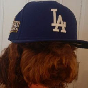 Meet your Posher, Landon